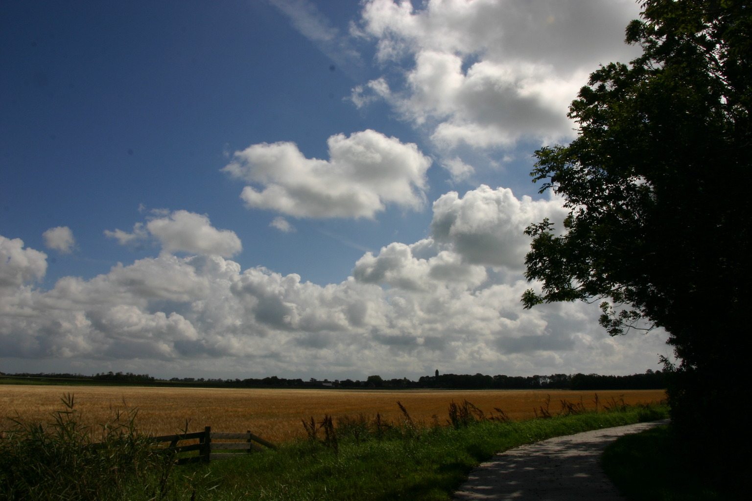 Onderweg van de Koog naar de Waal