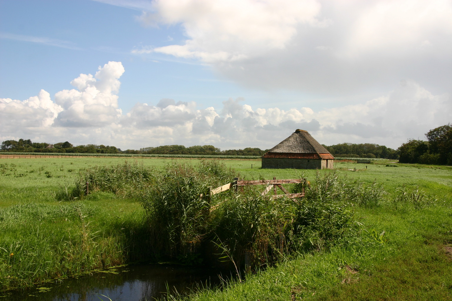 Nog een karakteristiek landschap niet ver van de Waal